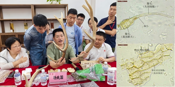 1765157362202039269.jpg 3_副本.jpg